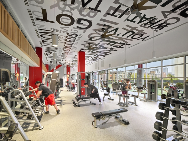 Temple gym facilities